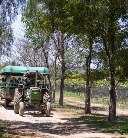 Tractor ride2